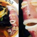 필소프트 이미지