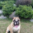 나무아래집 이미지