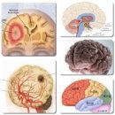 영구네농장 이미지
