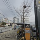 동천역 앞 횡단보도 건너 이미지