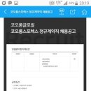 코오롱글로벌(주)스포렉스 타임스퀘어점 이미지