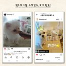 벨르앙주 | 강아지 수제간식 닭 가슴살 안심살 돼지귀 보양식 불리스틱 비타민첨가 200g 300g