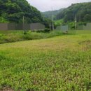 양평한울공인중개사사무소 이미지