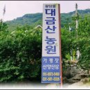 대금산농원