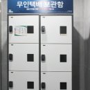 테라하우스 이미지
