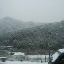 은택