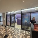 동일기원 | 잠실 전시회 생명의 기원 사라진 세계들 몰입형 VR체험 우쉬운 후기