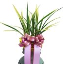 참조은요양병원 이미지