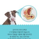 한강동물병원 이미지