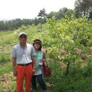 뽀미농장 이미지