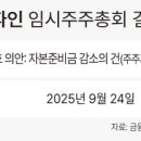 리파인 딜사이트