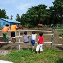 동림목장 이미지