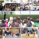 국민여가캠핑장 이미지