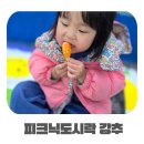 피크닉 도시락 | 샌드위치도시락 추천 이루팜 샌드위치박스 피크닉도시락으로 먹어본 후기