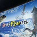 회세상오징어나라