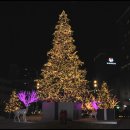 타임스케어 이미지