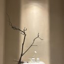 중앙대로 | 대구 슬로우터틀 중앙대로점, 케이크 디저트 메뉴 및 가격