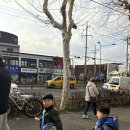 물개키즈스윔 이미지