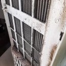 더크린세상 | 부천세탁기청소업체 부천에서 만나는 실속 만점! 크린세상 청소 서비스 후기