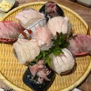 아재참치 | [창원 봉곡동 맛집] 밤바다회참치 • 모듬회 후기