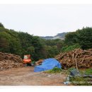 참숯가마골랜드 이미지