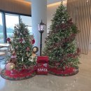 투썸 김해외동점 | [달달일상]커피가 가득했던 한 주