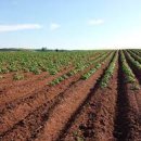 이루농장 이미지