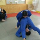 팀타이런트 유도 이미지