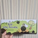 봄날엔 초코퐁당 피스타치오떡 피쵸퐁 20분 해동 내돈내산 후기
