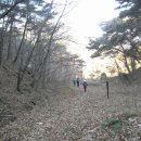 삼거리경로당 Daum카페