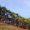 직지성보박물관 이미지