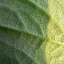 정은농장 이미지