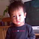 쭈니와비니 이미지