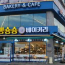빵숑숑 네이버블로그
