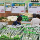 대구문화복합센터 협동조합