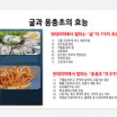 은하약초 이미지