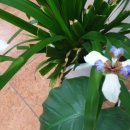 웰빙공인중개사사무소 이미지