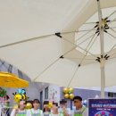 (주)정인 이미지