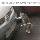 영통주민약국 | 나 ESTP일지도?