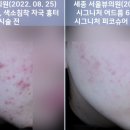 서울뷰의원 이미지