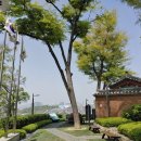 도장명당