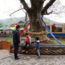 유가초등학교 이미지