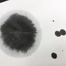 감성 일러스트 캘리그라피 이미지