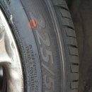 보쉬카랜드 이미지