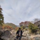 혜성가든 이미지