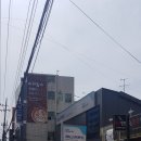 애니카랜드 화원점 이미지