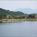 승철농장 Daum카페