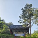 낙산식당 | [아이랑 여행] 강원도 양양 '낙산사' , '낙산 해변' , '광주빛고을식당' / 사진 & 간단 후기.