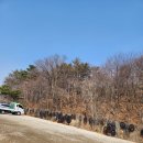 하늘바다낚시터 | 🎣 인천 대부도 하늘바다낚시터 또간 후기 (재방문 찐후기🔥)