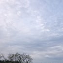 이천마이다스골프앤리조트(대중형) | 이천 마이다스CC 골프앤리조트 후기